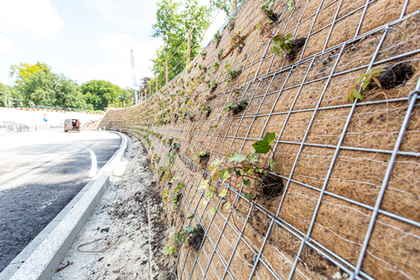 Uitdagende gewapende grondconstructie voor glooiend talud met groene facing