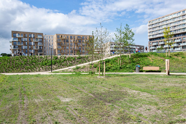 EPS constructie en gewapende grondconstructie voor skatepark amsterdam